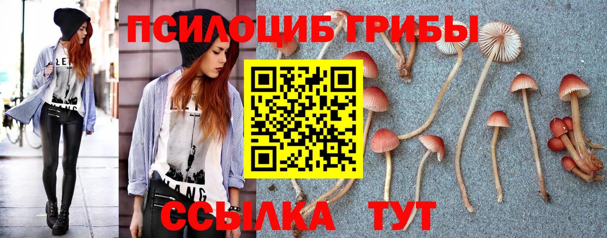 Галлюциногенные грибы MAGIC MUSHROOMS  Вход с VPN  Кировск 