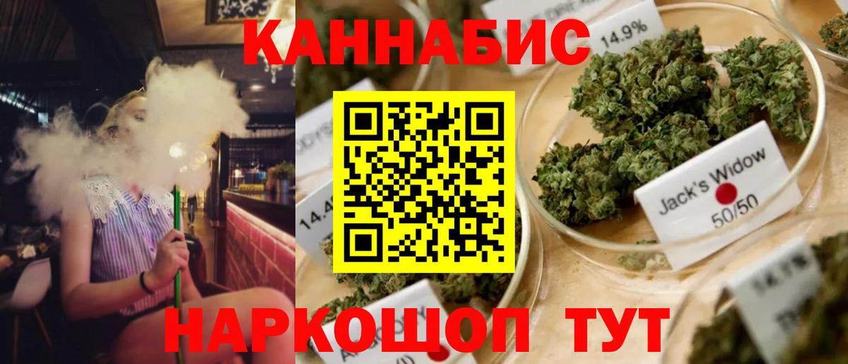 МАРИХУАНА планчик Кировск